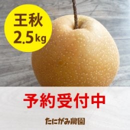 発送中「王秋梨」(おうしゅう)2.5キロ(4~6玉入)※数量限定 たにがみ