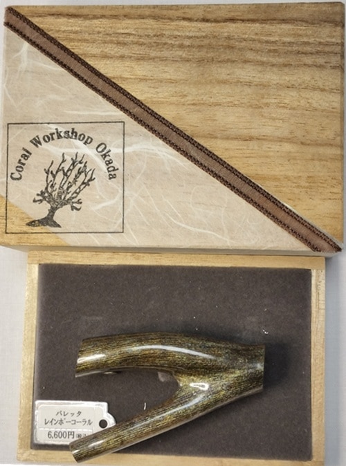 深海松　レインボーコーラル 根付け 深海松 レインボーコーラル 根付け レインボーコーラル Rainbow Coral