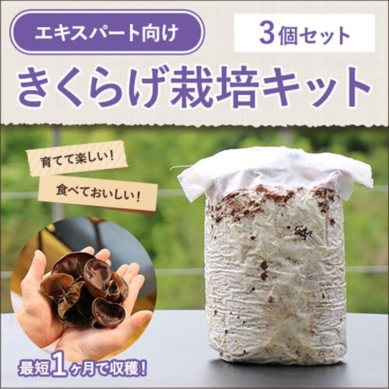 3個セット・エキスパート向け｜1からはじめる純国産きくらげ栽培キット