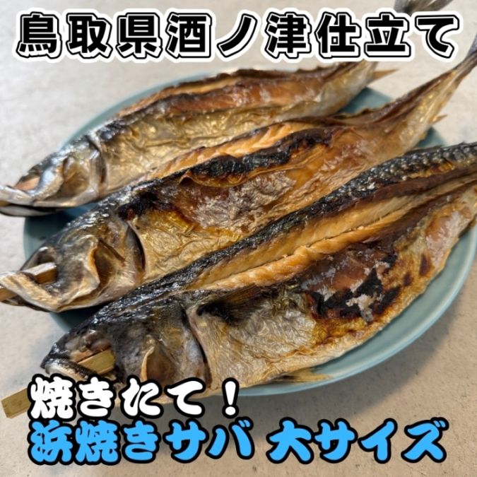 山陰鳥取加工！焼きたて！浜焼きサバ【大サイズ】 3匹 【さかなや新鮮