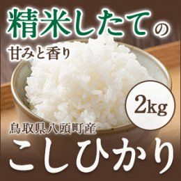 令和8年度産 新米】鳥取県産こしひかり白米2kg【田中農場】 ｜鳥取の