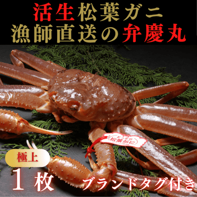 商品写真