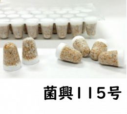 しいたけ種菌 形成菌115号シート ｜鳥取の特産品お取り寄せ