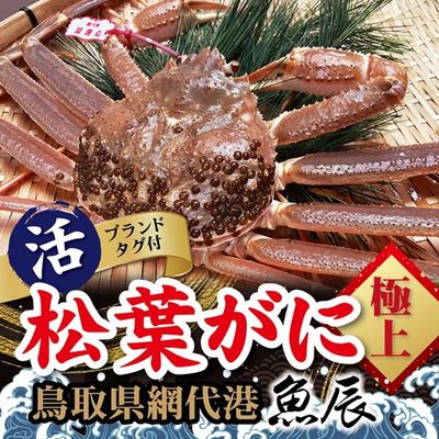 商品写真