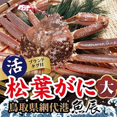 商品写真