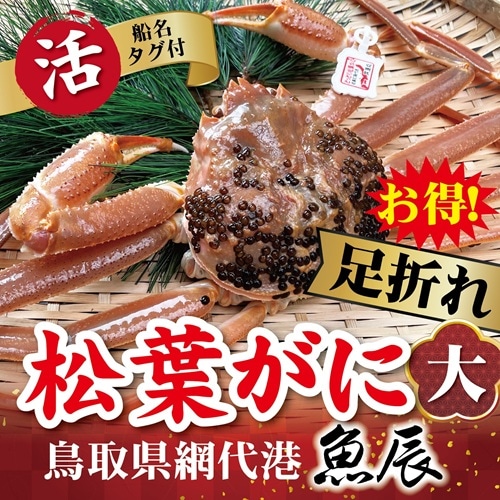 鳥取県網代港 松葉ガニ(足折れ・大)700g以上・1枚(生)【魚辰 鳥取県網代港 松葉ガニ(足折れ・大)700g以上・1枚(生)【魚辰