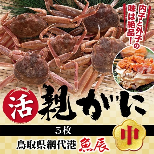 鳥取県網代港 親ガニ (中）生 5枚【魚辰】 ｜鳥取の特産品お取り寄せ
