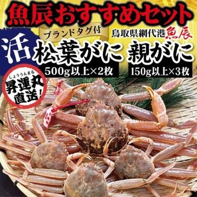 商品写真