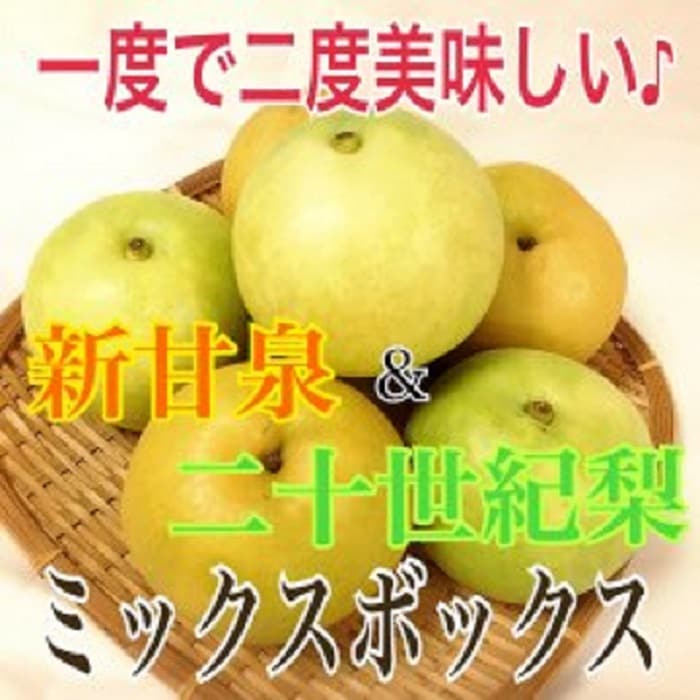 みどりのもり様　50枚 新甘泉＆二十世紀梨ミックスBOX ｜鳥取の特産品お取り寄せ通販