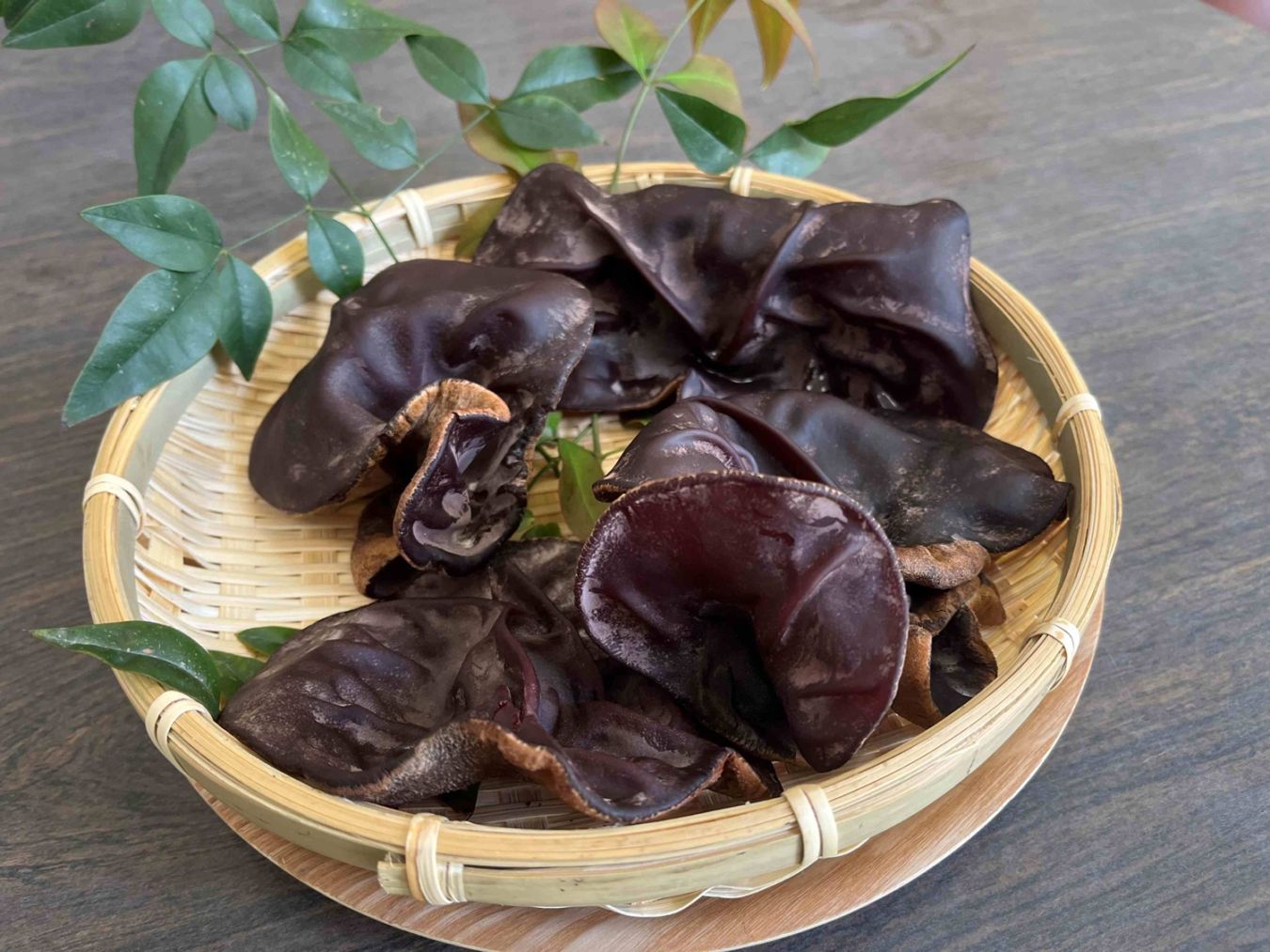 春夏限定】生きくらげ1kg 【木子ぽっぽ】 ｜鳥取の特産品お取り寄せ