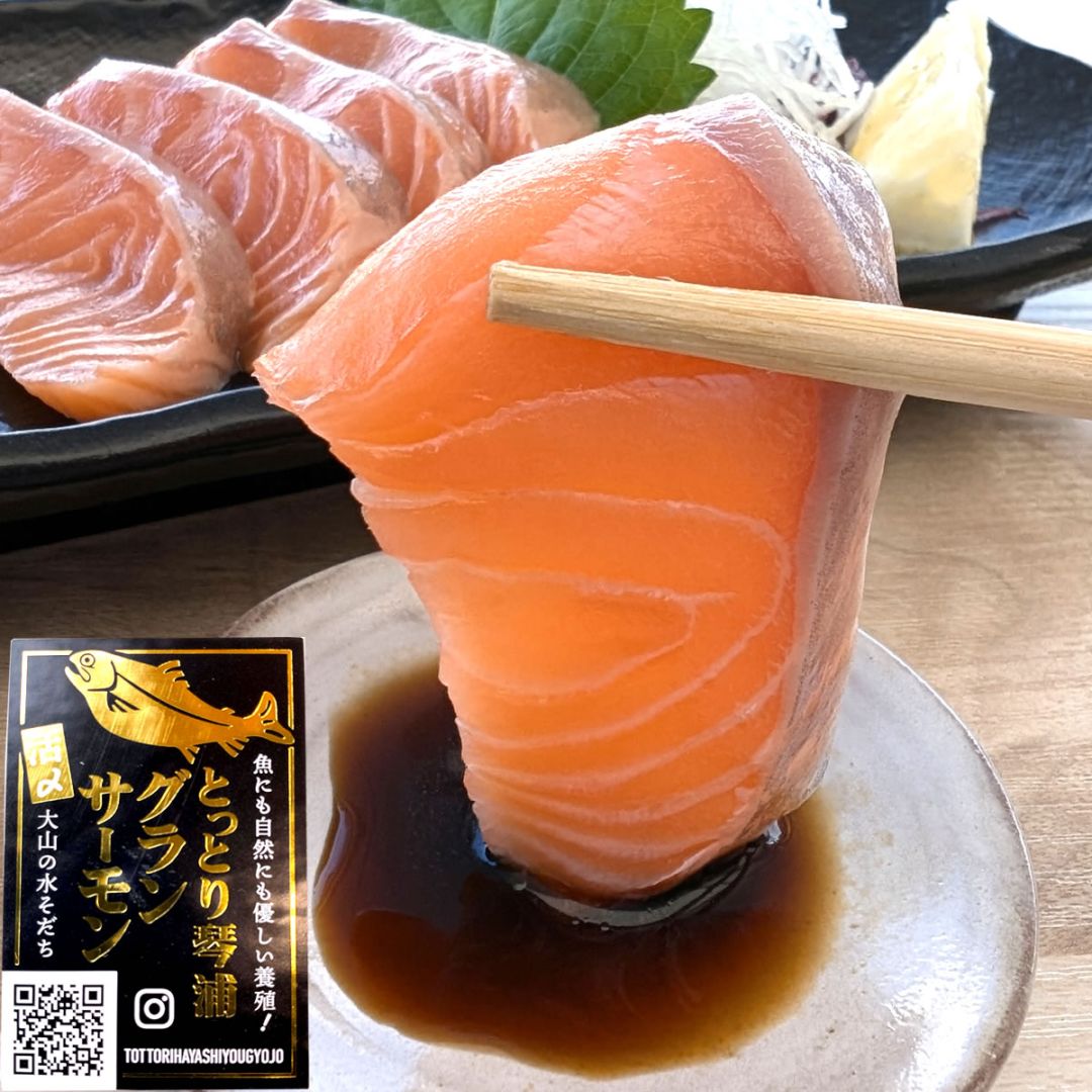 とっとり琴浦グランサーモン・お刺身用柵（冷凍・養殖トラウト