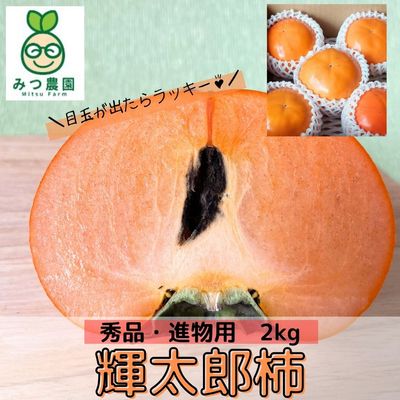 商品写真