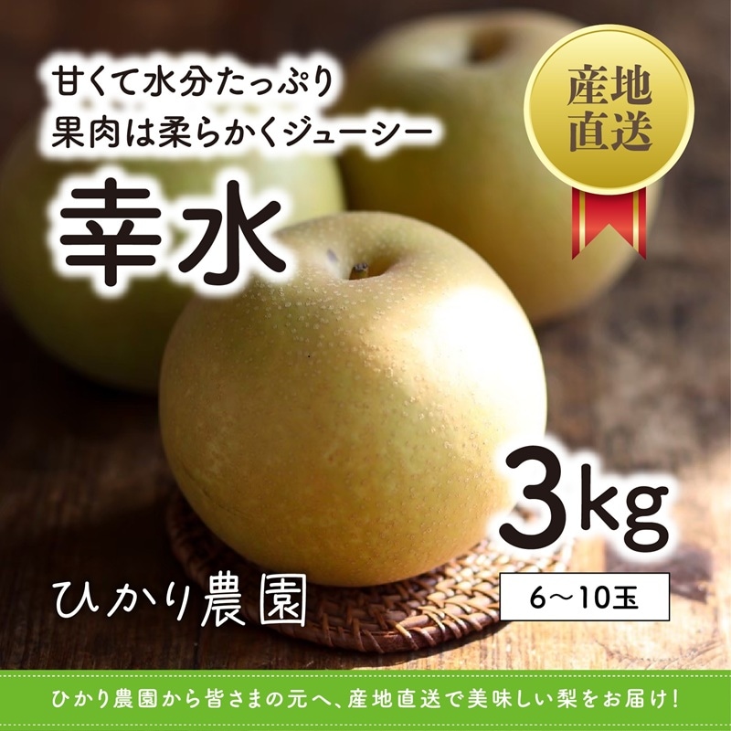秀品・贈答用 幸水梨 3kg（6-10玉）【ひかり農園】 ｜鳥取の特産品お