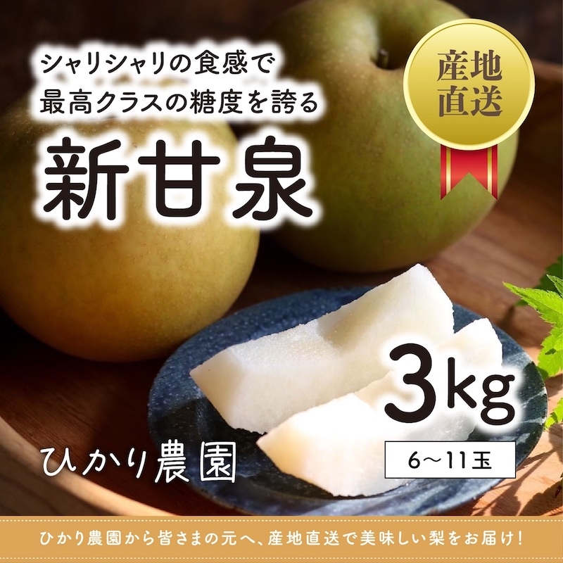 商品写真