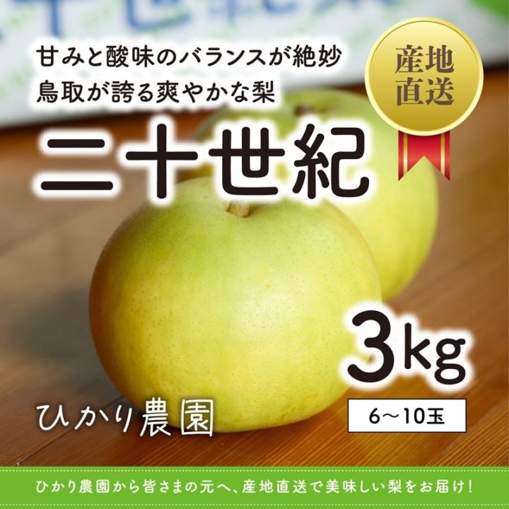 秀品・贈答用 二十世紀梨 3kg（6-10玉）【ひかり農園】 ｜鳥取の特産品