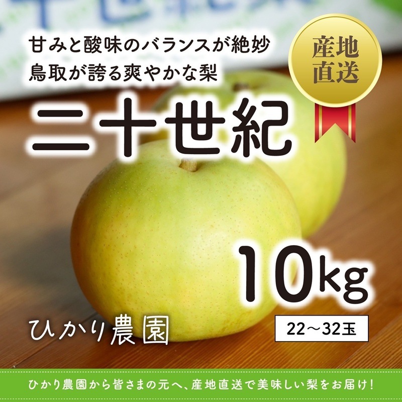 秀品・贈答用 二十世紀梨 10kg（22-32玉）【ひかり農園】 ｜鳥取の特産