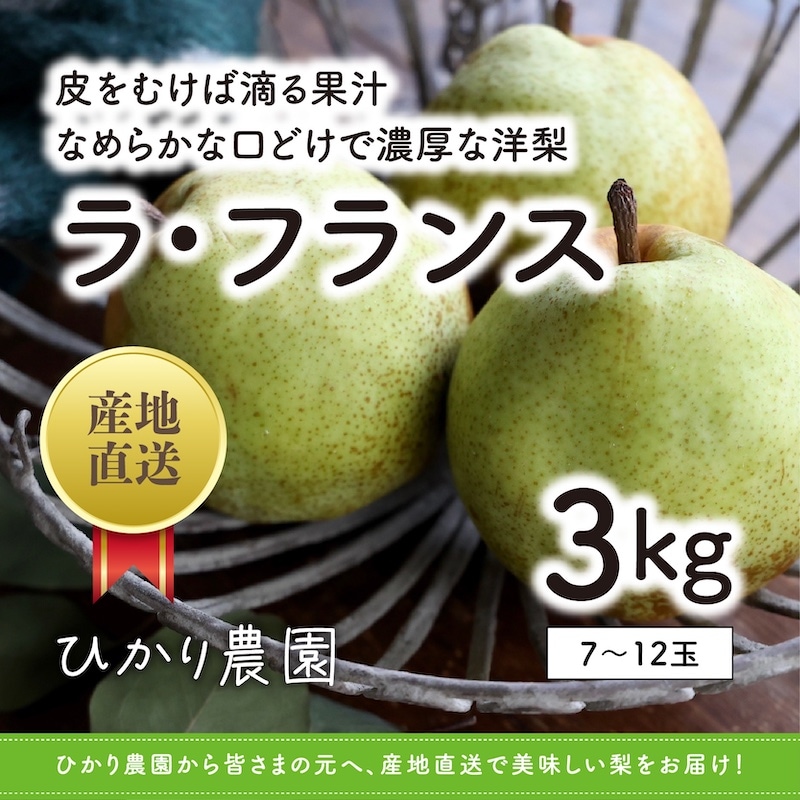 秀品・贈答用 ラ・フランス 3kg（7-12玉）【ひかり農園】 ｜鳥取の特産