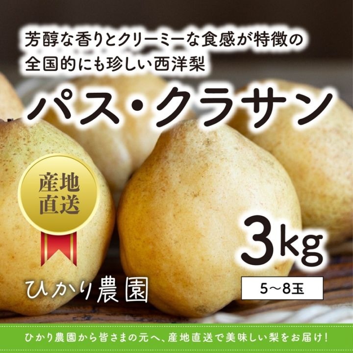 秀品・贈答用 パス・クラサン 3kg（5-8玉）【ひかり農園】 ｜鳥取の