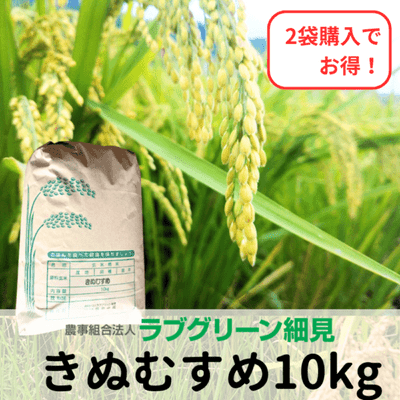 令和7年産 きぬむすめ 【減農薬栽培】 白米 10kg 【ラブグリーン細見