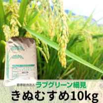 新米】令和7年度産きぬむすめ 白米 10kg ｜鳥取の特産品お
