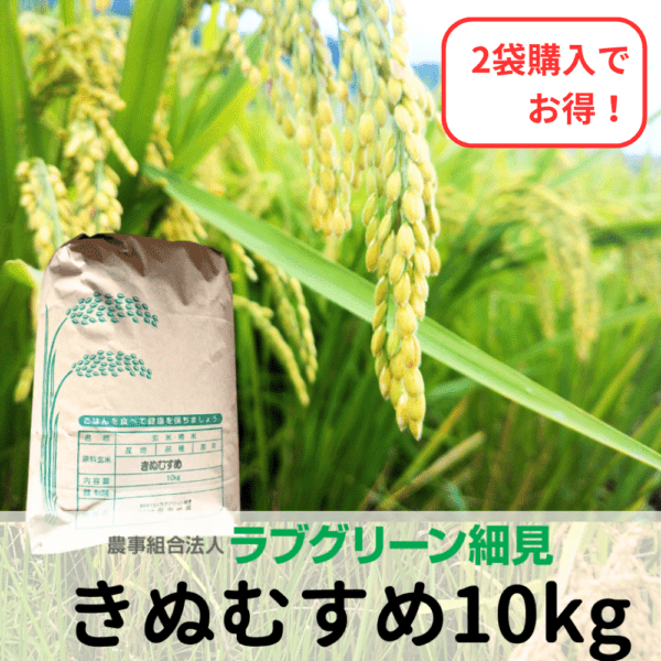 令和7年産 きぬむすめ 【減農薬栽培】 白米 10kg 【ラブグリーン細見