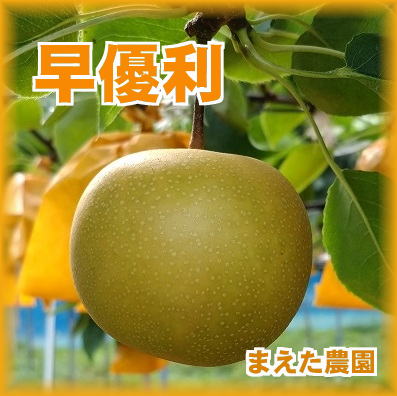 商品写真
