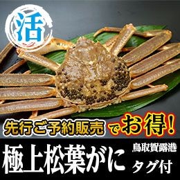 商品写真