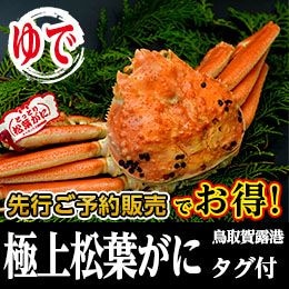 商品写真