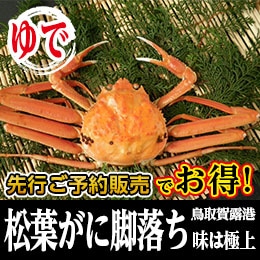 松葉がに（オチ・特大・ボイル) 800g以上【先行ご予約販売】 【鳥取