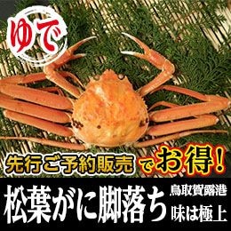 商品写真