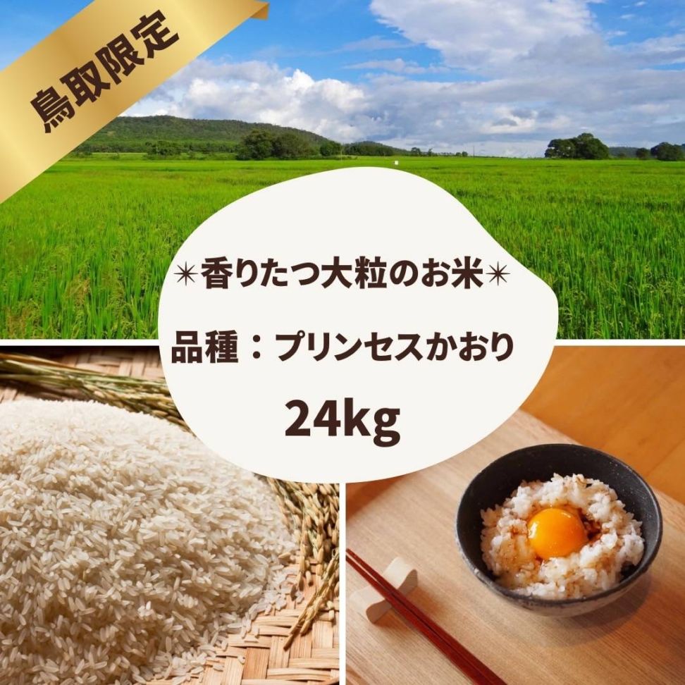 プリンセスかおり 令和6年産 精米24kg 【グリーン農園】 ｜鳥取の