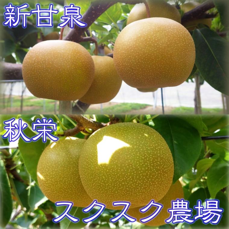 商品写真