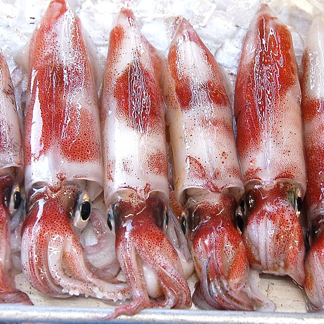 商品写真