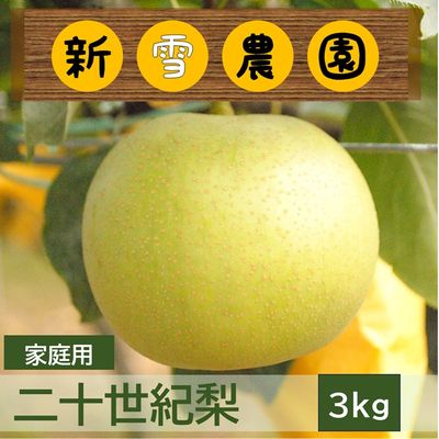 商品写真