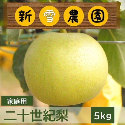 商品写真