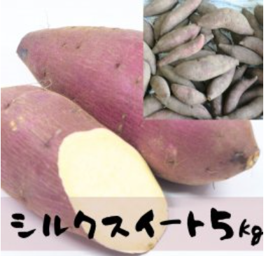 予約商品【栽培期間中無肥料・無農薬】シルクスイート さつまいも 令和