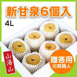 新甘泉｛化粧箱｝（4L）6個入り ｜鳥取の特産品お取り寄せ通販｜とっ