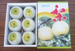 2026年度販売終了】20世紀梨｛化粧箱｝（4L）6個入り【砂丘のなし屋