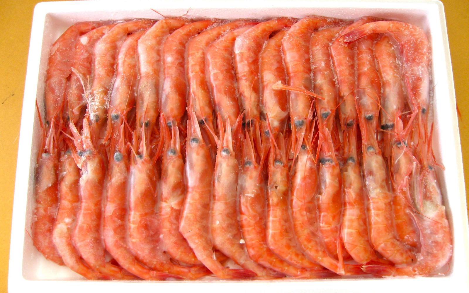 船内冷凍 甘エビ（殻の柔らかタイプ）【山長商店】 ｜鳥取の特産品お