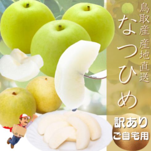 ご予約】なつひめ 梨（ご自宅用 訳あり）5kg【いまる】 ｜鳥取の特産品 