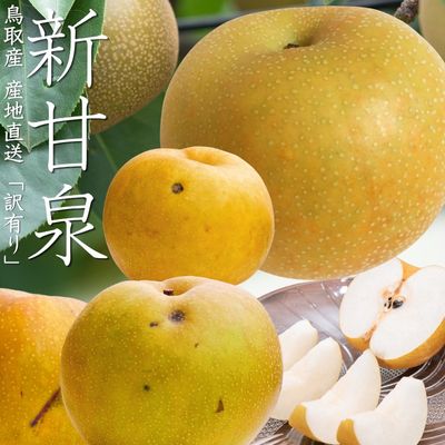 商品写真