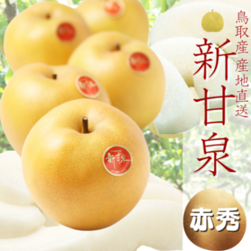 ⚠️ Rosegarden⚠️茨城県産 梨/甘ひびき 秀品/10キロ 新甘泉(赤秀)しんかんせん 鳥取産 和梨 |鳥取の特産品お