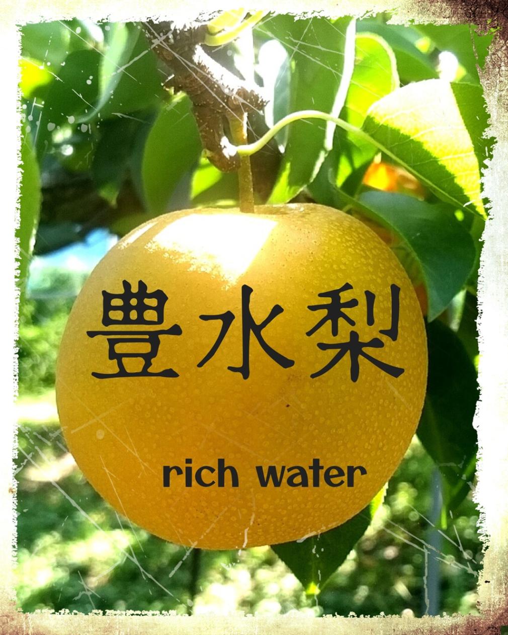 商品写真