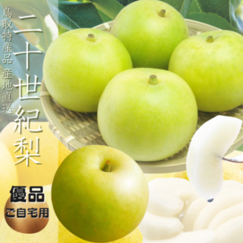 鳥取県産 二十世紀梨（優品）ご自宅用 ｜鳥取の特産品お取り寄せ