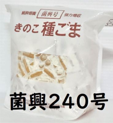 きのこ品 登録品種 菌興240号 駒菌（400駒）【きのこのお店 しいたけ本舗