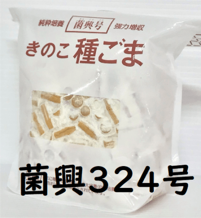 登録品種 菌興324号 駒菌（400駒）【きのこのお店 しいたけ本舗