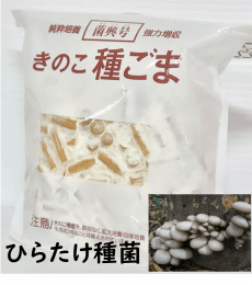 きのこ Online Crane Game: GiGO ONLINE CRANE