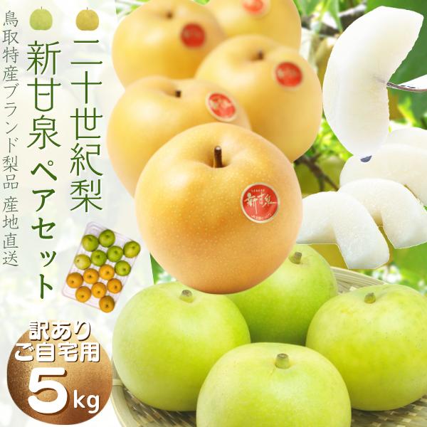 お買い得‼️新甘泉　５キロ×２箱　家庭用 梨 新甘泉 しんかんせん ちょっと訳あり 大きさおまかせ 5kg