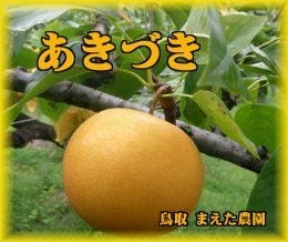 商品写真