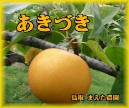 薪用の梨の玉切り 3トン 5月連休までに引取り限定(福島市) 楽天市場】新高 梨 なし 約5kg（6〜13玉入）【発送時期：10月